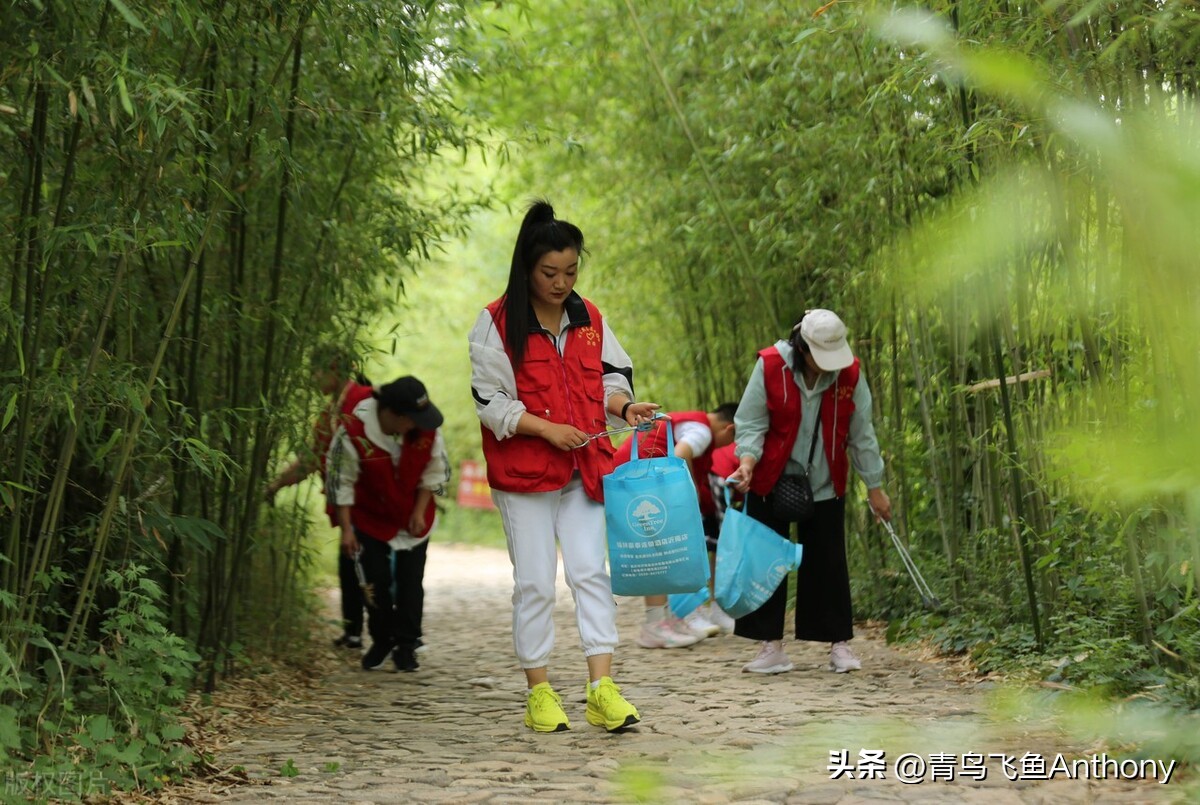 绿色是高质量发展的最美底色,人与自然和谐共生贡献绿色力量