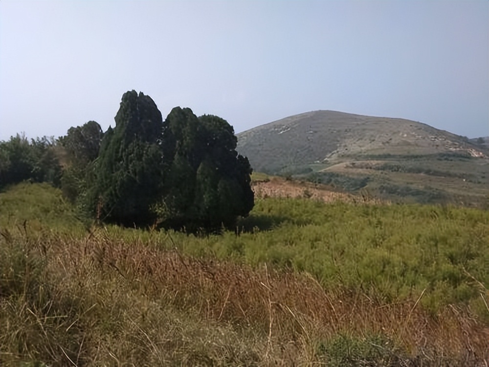 丧葬改革再出新动作,平坟迁坟政策