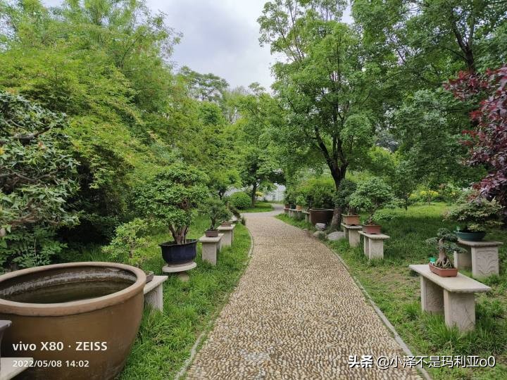 vivox80巅峰极速测评,今年旗舰机最推荐的vivox80