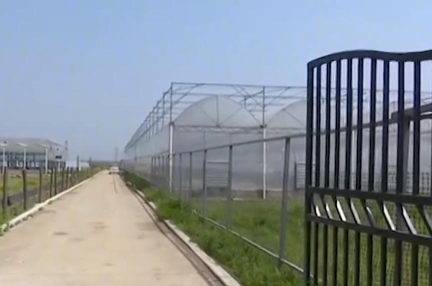 90后小夫妻回村建农场的生活视频,90后小夫妻回家种地