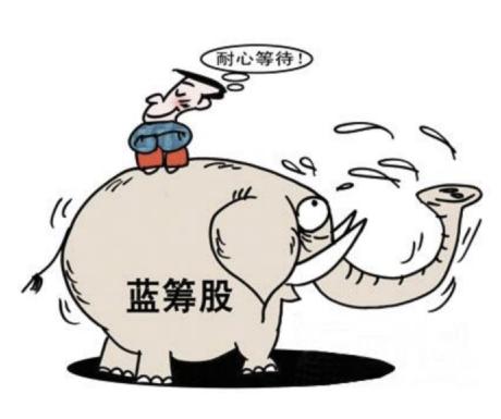 白马股和蓝筹股哪个强势,权重股与白马股及蓝筹股