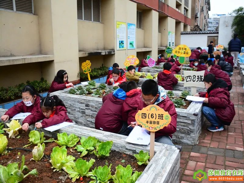 云兴小学迎接国家智慧教育平台创新应用案例视察