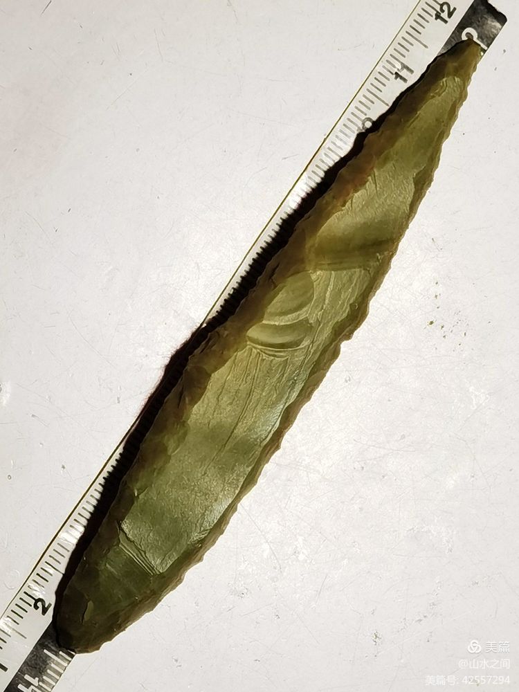 呼伦贝尔发现远古时代人工打制的绿色石柳叶揭开＂尚柳＂起源之迷