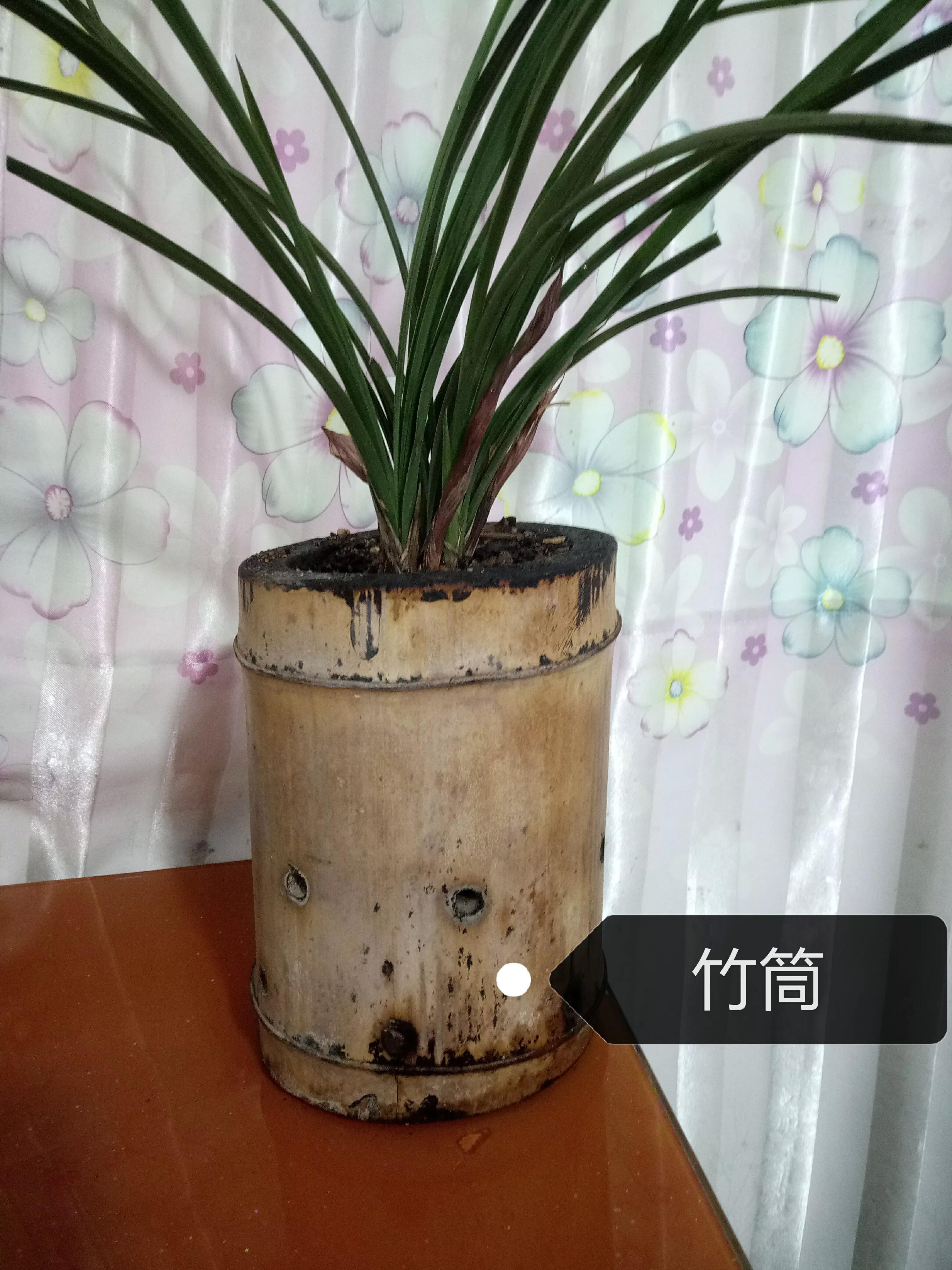 怎么选择合适尺寸的花盆,花盆各个部分讲解