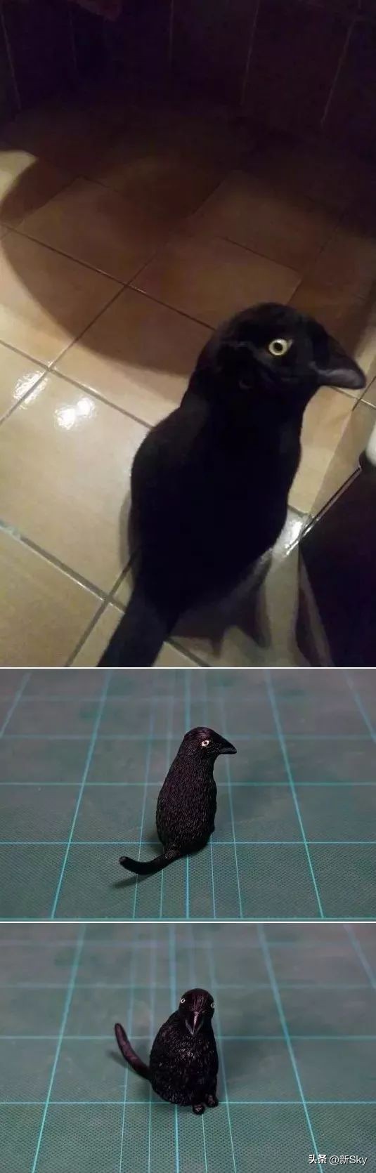 哈哈哈，这个神经手办又双叒更新了，笑惨我了