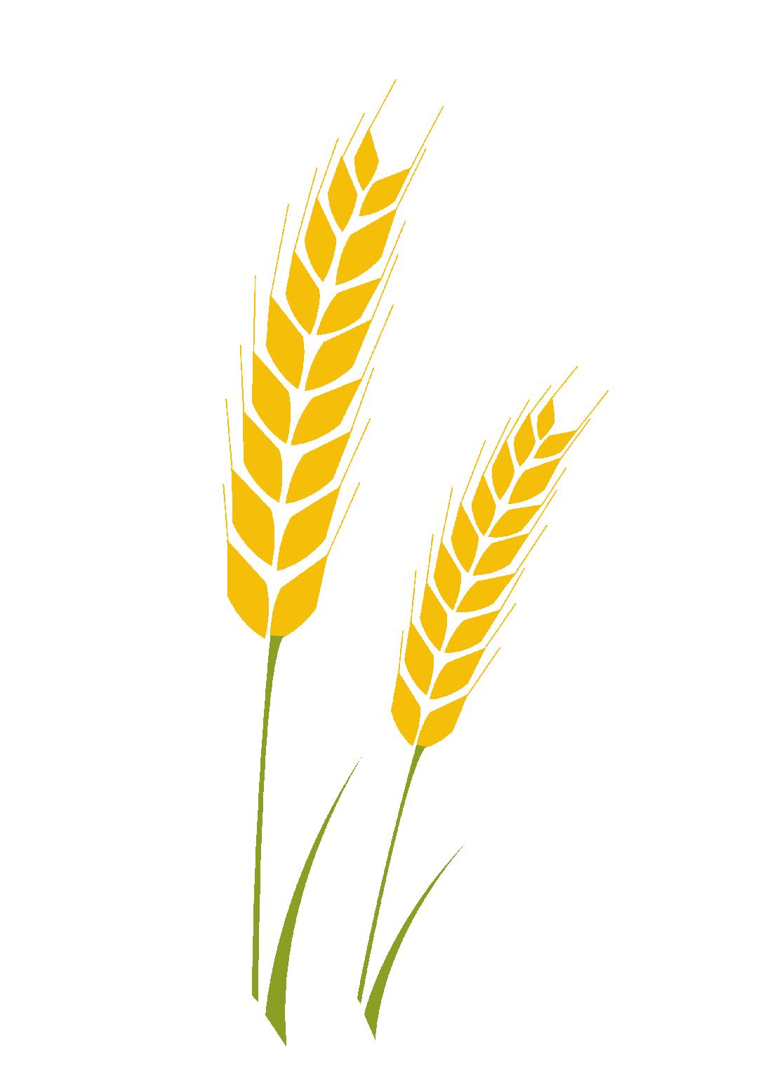 2024泰晤士英国大学排名榜,2024泰晤士报英国大学排名