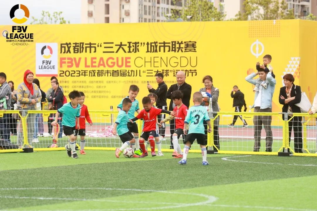 派迪茵体育有限公司,派迪茵体育股份有限公司