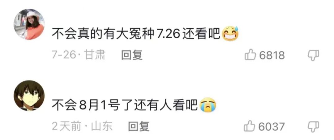 三农博主疆遇阿力木,新疆网红阿力木怎么关注