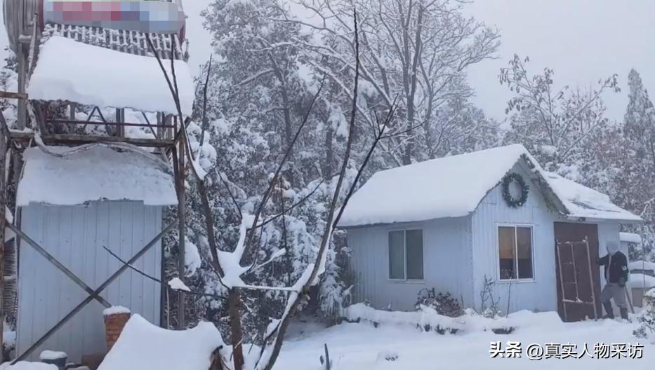 我80后，放弃上海的房和车，买200亩山林，和老公隐居山林，真爽