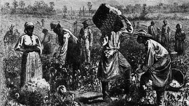 棉布如何导致*国亡**？害惨黑人的为何是印度？