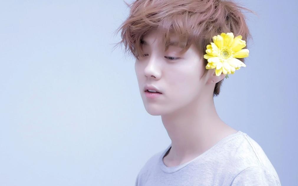 鹿晗为何最终选择了关晓彤,鹿晗有多惯着关晓彤