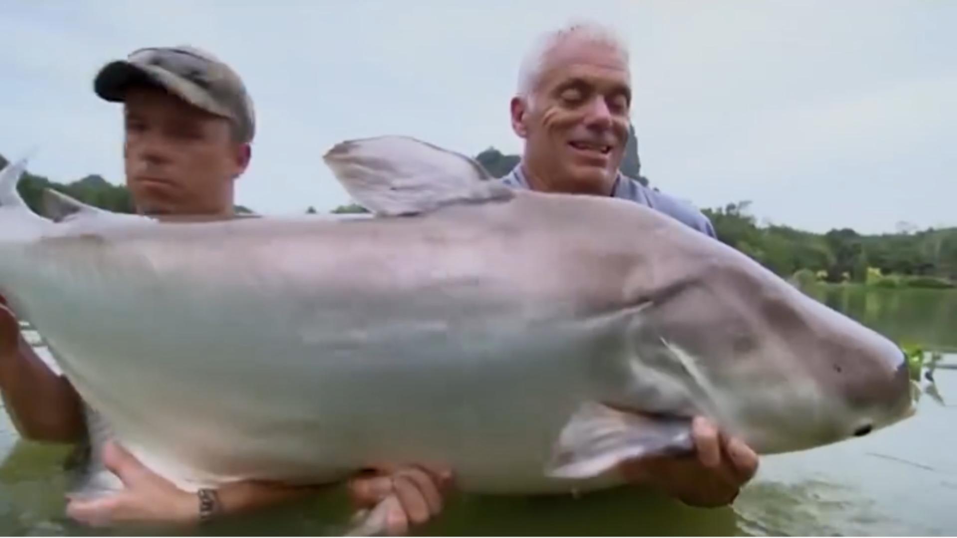 意大利男子出海钓鱼,意大利男子钓起湖中巨怪