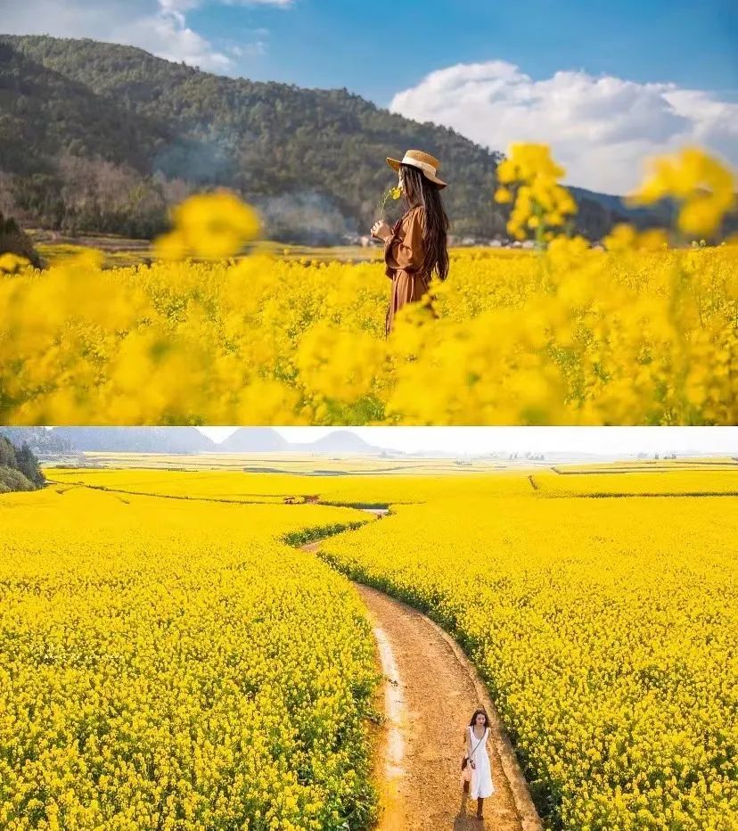 2022花海盛开,2022春季花海