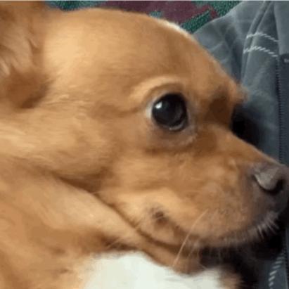 <html>
<head><title>502BadGateway</title></head>
<body>
<center><h1>502BadGateway</h1></center>
<hr><center>nginx</center>
</body>
</html>
<!--apaddingtodisableMSIEandChromefriendlyerrorpage-->
<!--apaddingtodisableMSIEandChromefriendlyerrorpage-->
<!--apaddingtodisableMSIEandChromefriendlyerrorpage-->
<!--apaddingtodisableMSIEandChromefriendlyerrorpage-->
<!--apaddingtodisableMSIEandChromefriendlyerrorpage-->
<!--apaddingtodisableMSIEandChromefriendlyerrorpage-->
