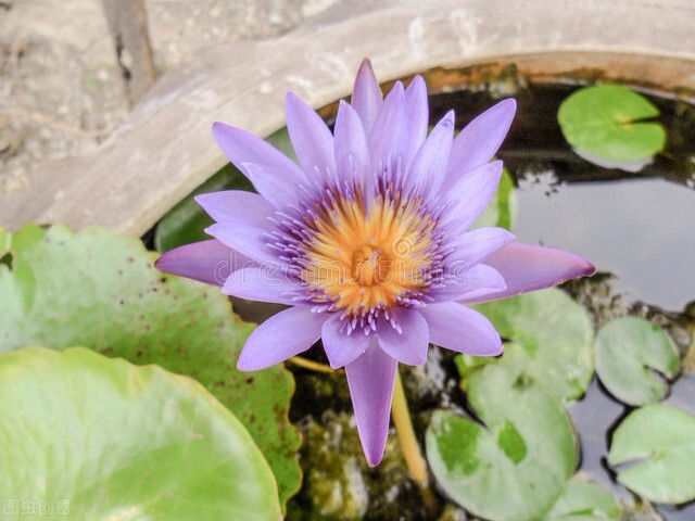 你们觉得信佛的人会怎么样,大家怎么看信佛的人