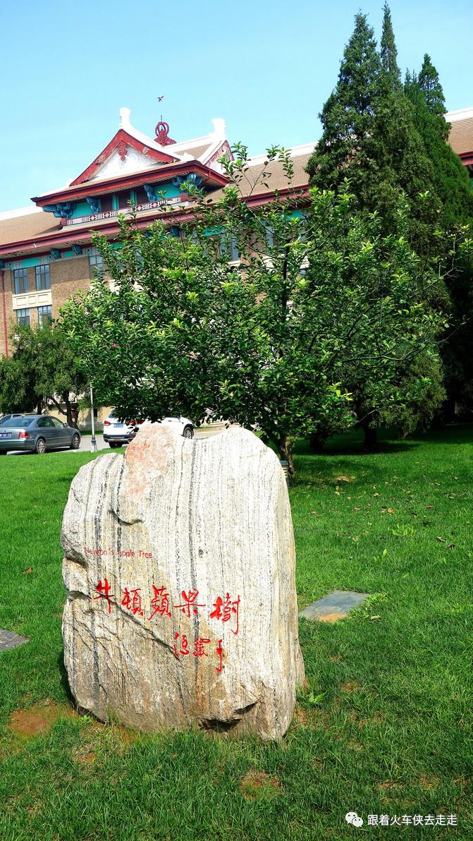 老天津读历史，新天津新全运（四）——天津大学（下）