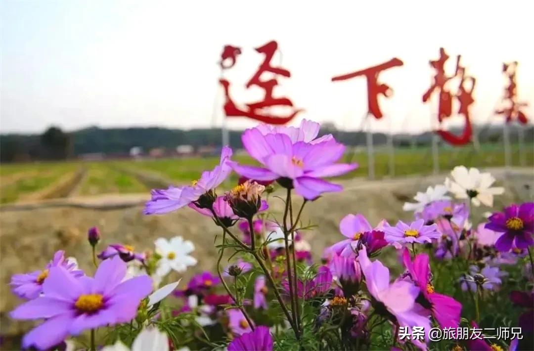 南平静修小镇凤溪玩水,南平静修小镇凤溪玩水区订票