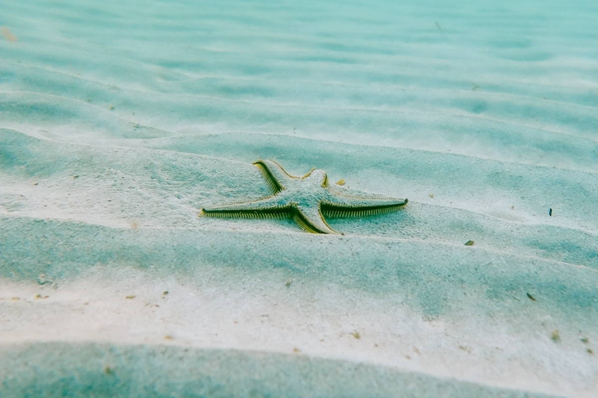 良好的咨访关系,是心理咨询成功的一半