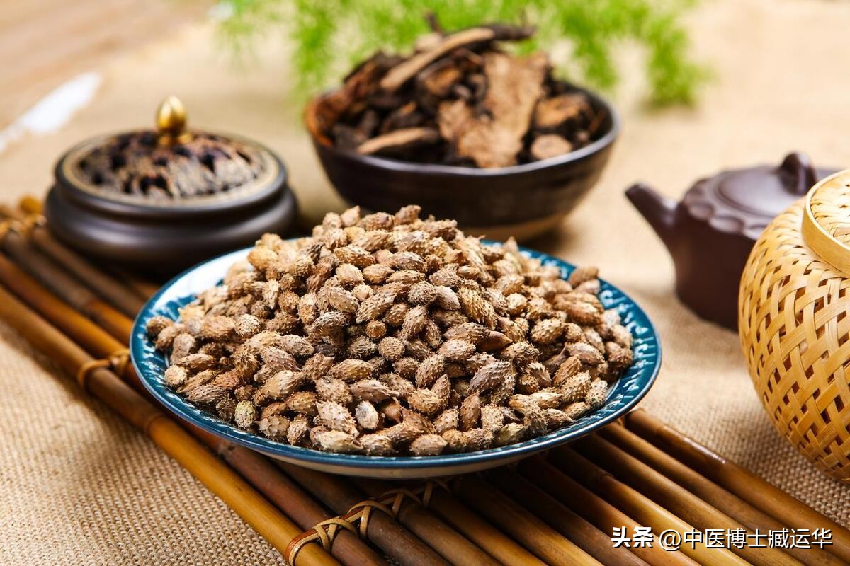 苍耳中药的作用,苍耳子中草药