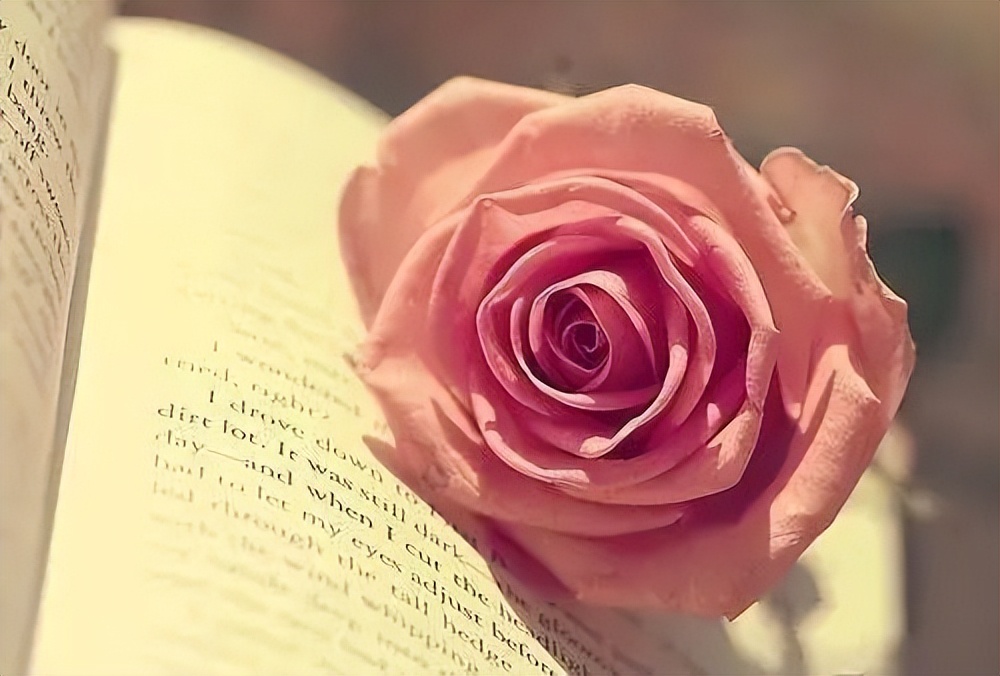 足不出户看美景的心情句子,春天溜达散心的句子