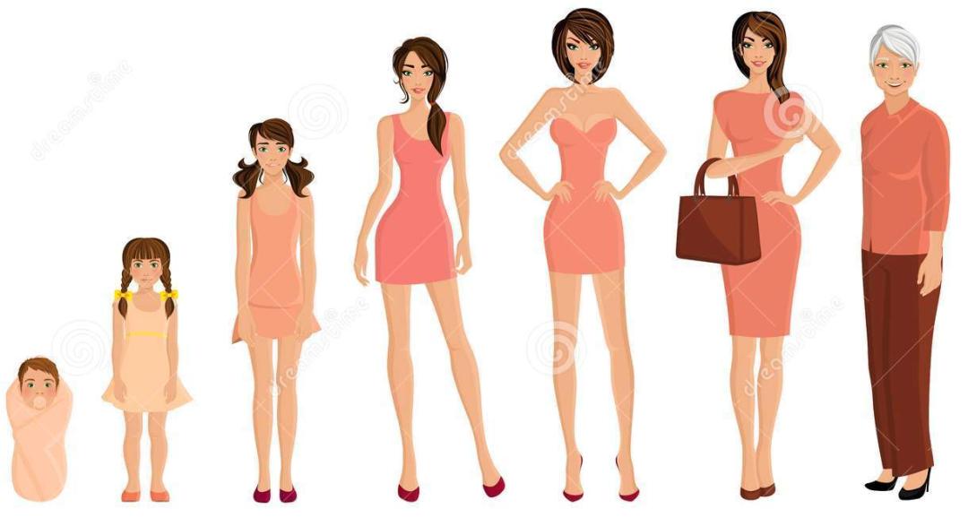 卵巢和年龄的关系,你的卵巢