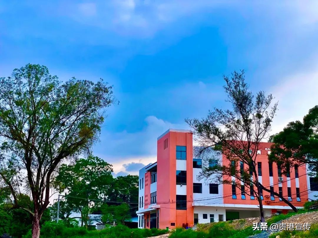 思旺高中好吗,思旺高中最新视频