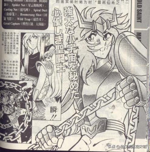 青铜五小强各阶段实力,青铜五小强人气最高的是谁