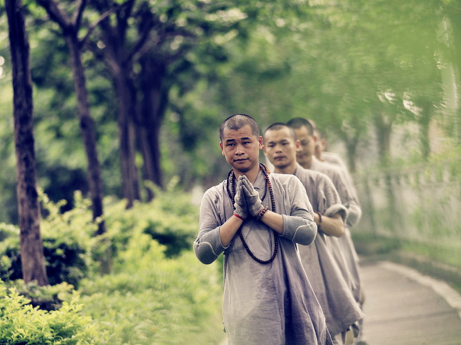 佛法常说的三宝指的是,佛学常识什么是三宝