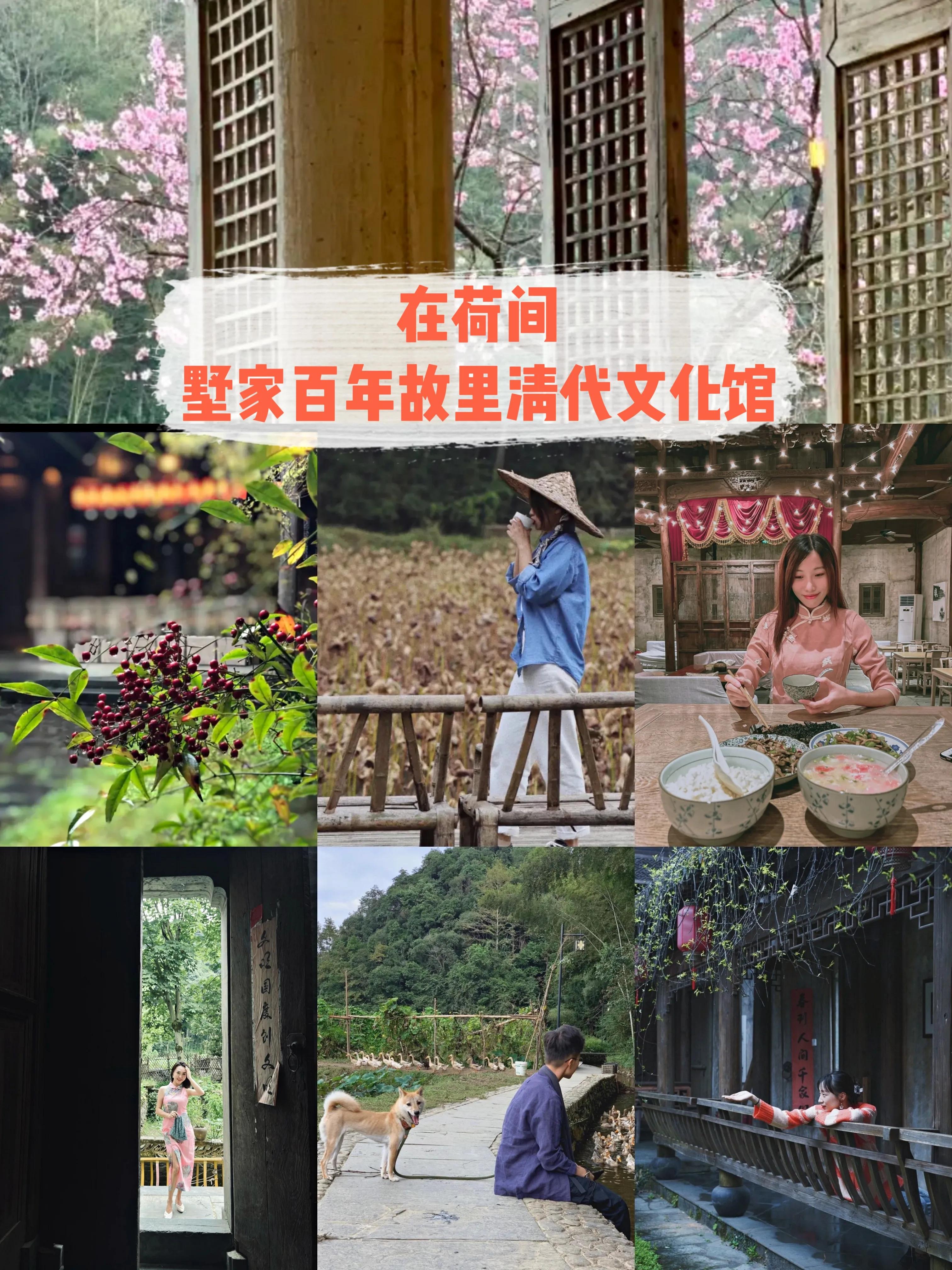 婺源旅游攻略不住民宿,婺源篁岭山上是哪三家酒店民宿