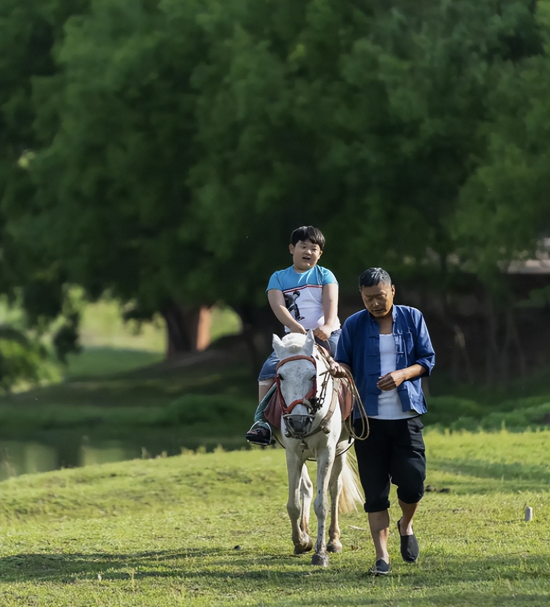 2023年上半年评分最高的国产剧,2023最好的3部高分国产剧