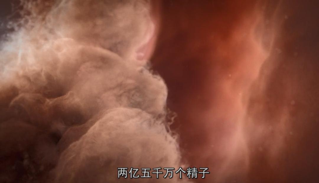 死去的生物突然开始攻击我,人类死亡后细胞拼命自救