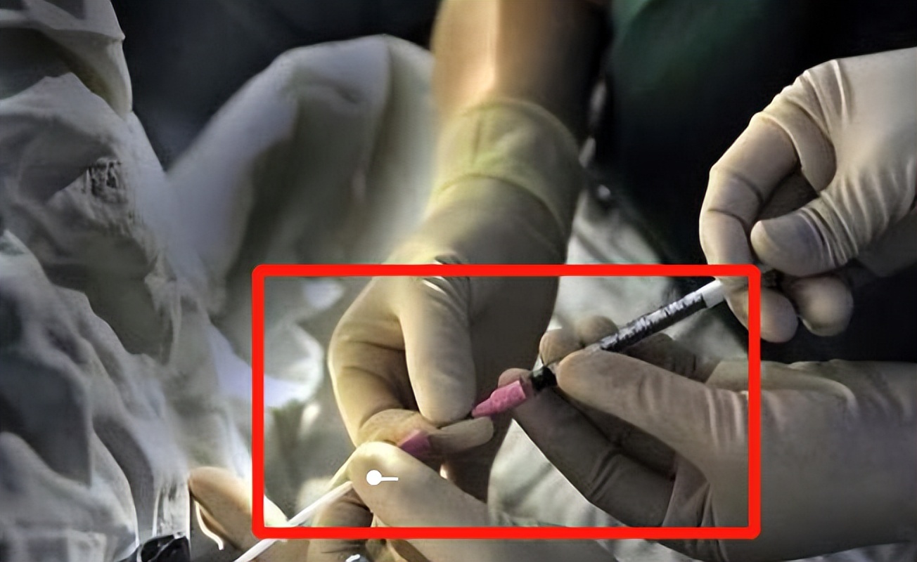 买卵*市黑**紧盯女大学生，“无色情”实现财富自由，越好看越值钱