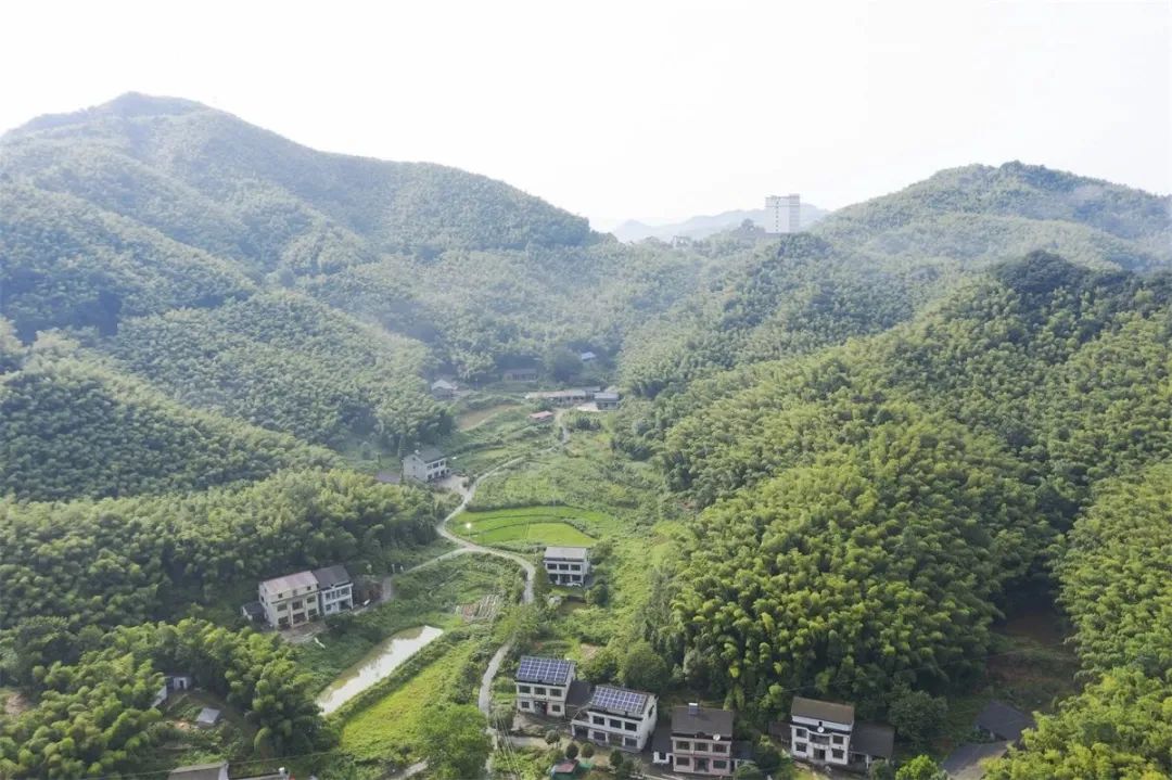 首次开通始发高铁,最新高铁开通列车表