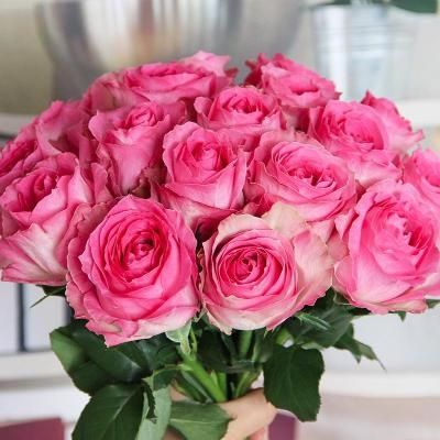 玫瑰花有几种颜色各代表什么意思,不同颜色的玫瑰花表示的寓意不同