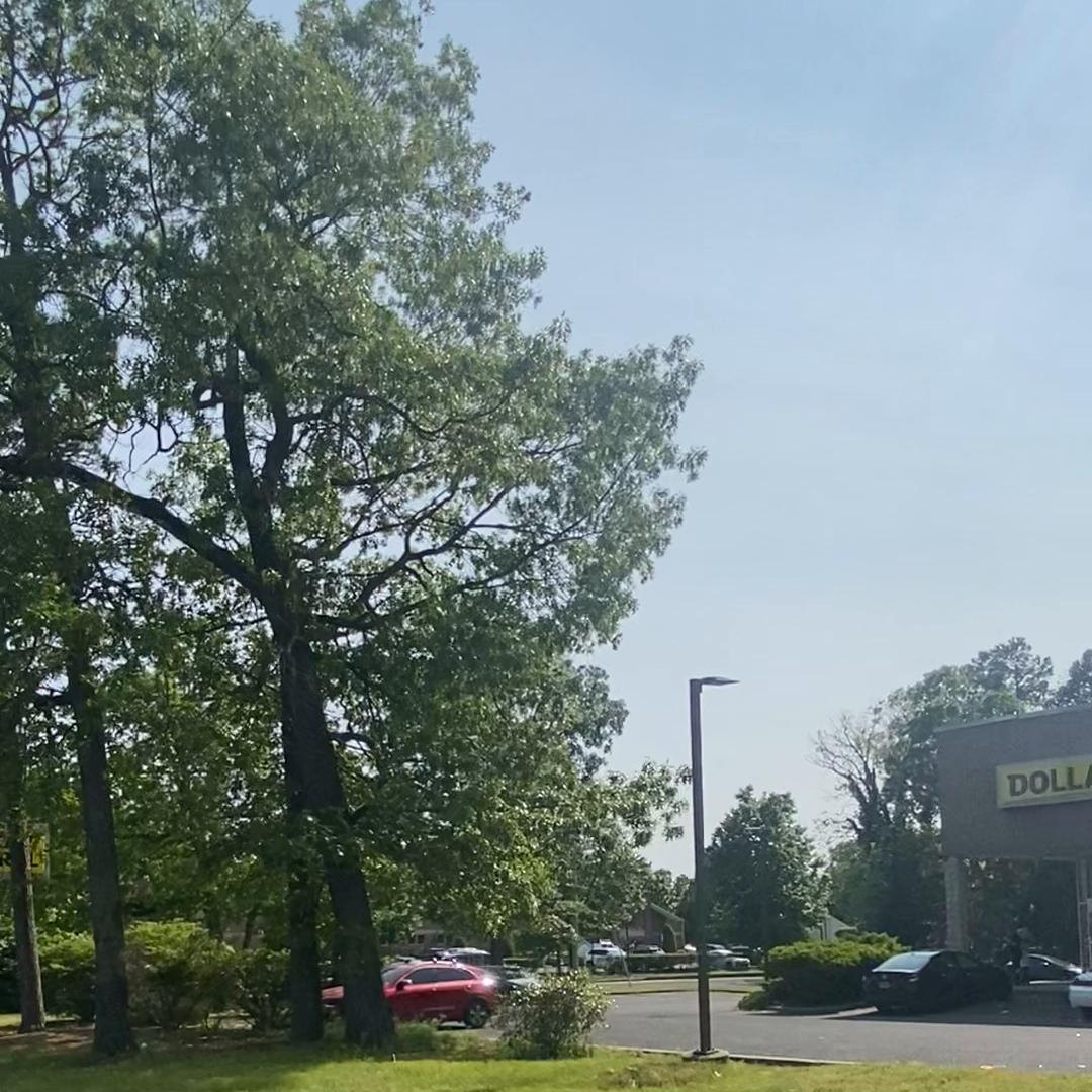 美国大片电影全部,美国新增确诊数量