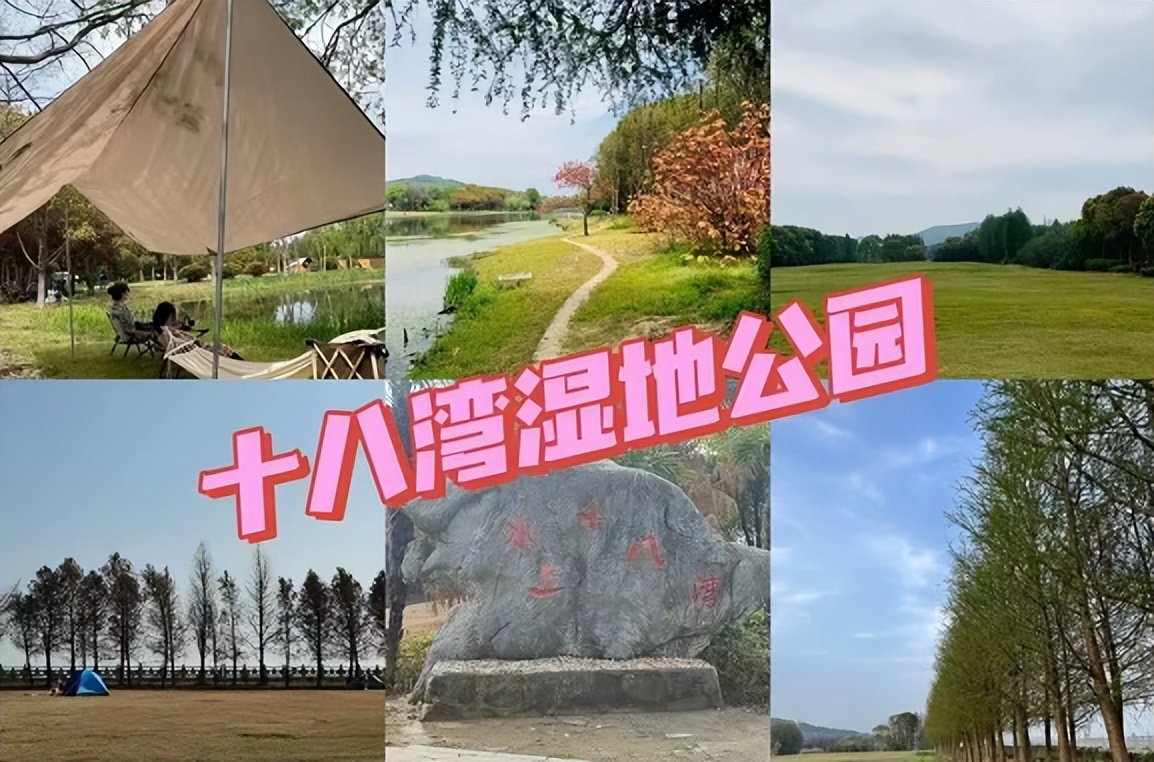 广州网红露营地推荐,新都桥网红露营地推荐