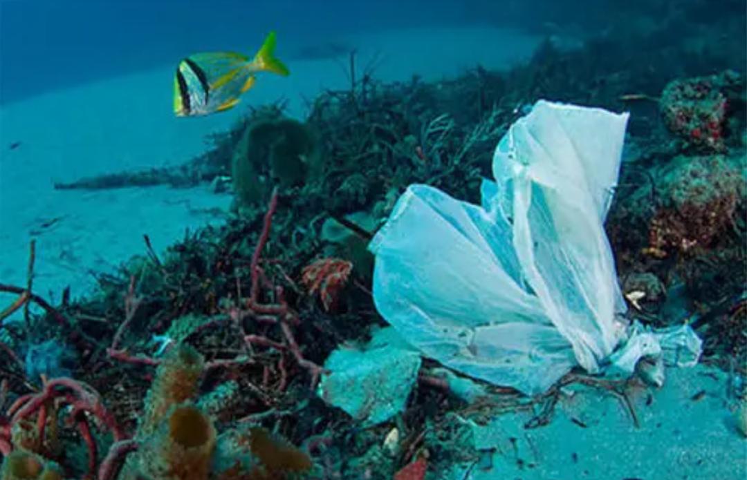 大海有多可怕视频,大海最危险的是什么