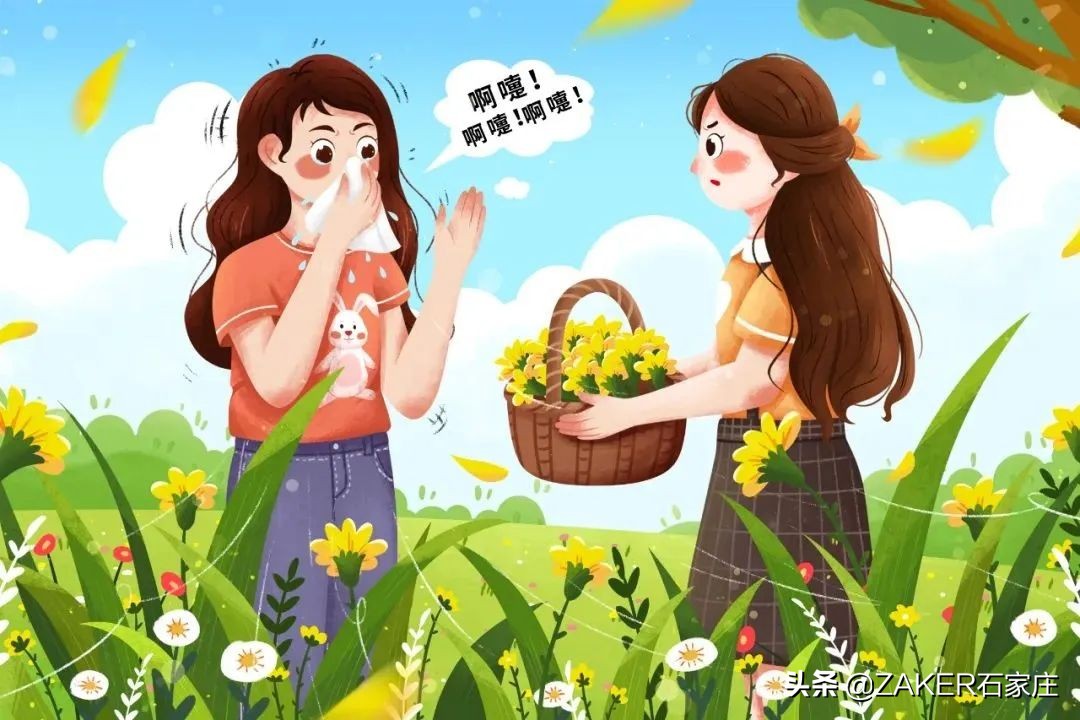 zaker新闻活动,zaker新闻阅读