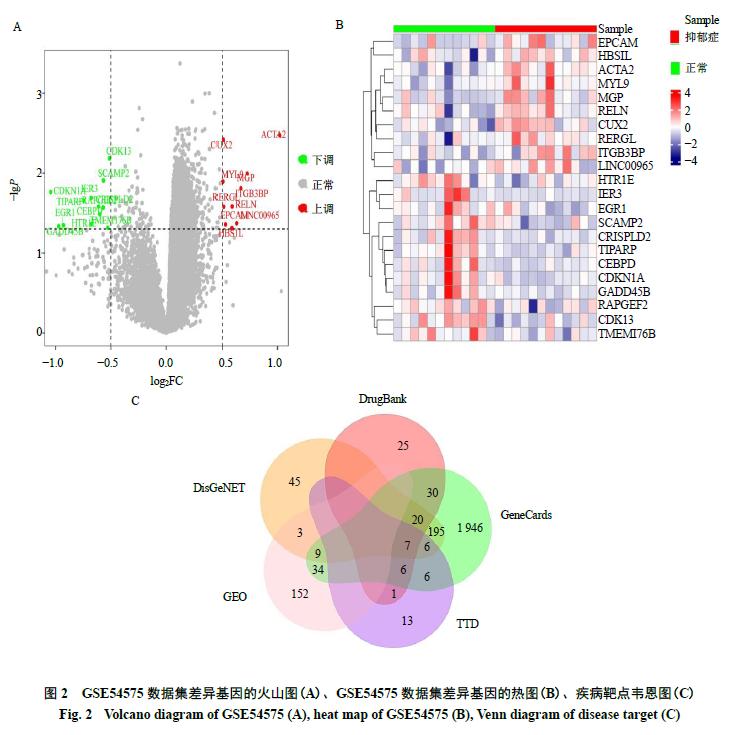 黄芪甲苷是什么,神奇的黄芪甲苷