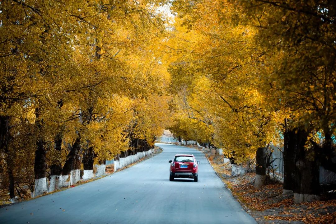 稻城亚丁啥时去最好,去稻城亚丁啥时候去最好