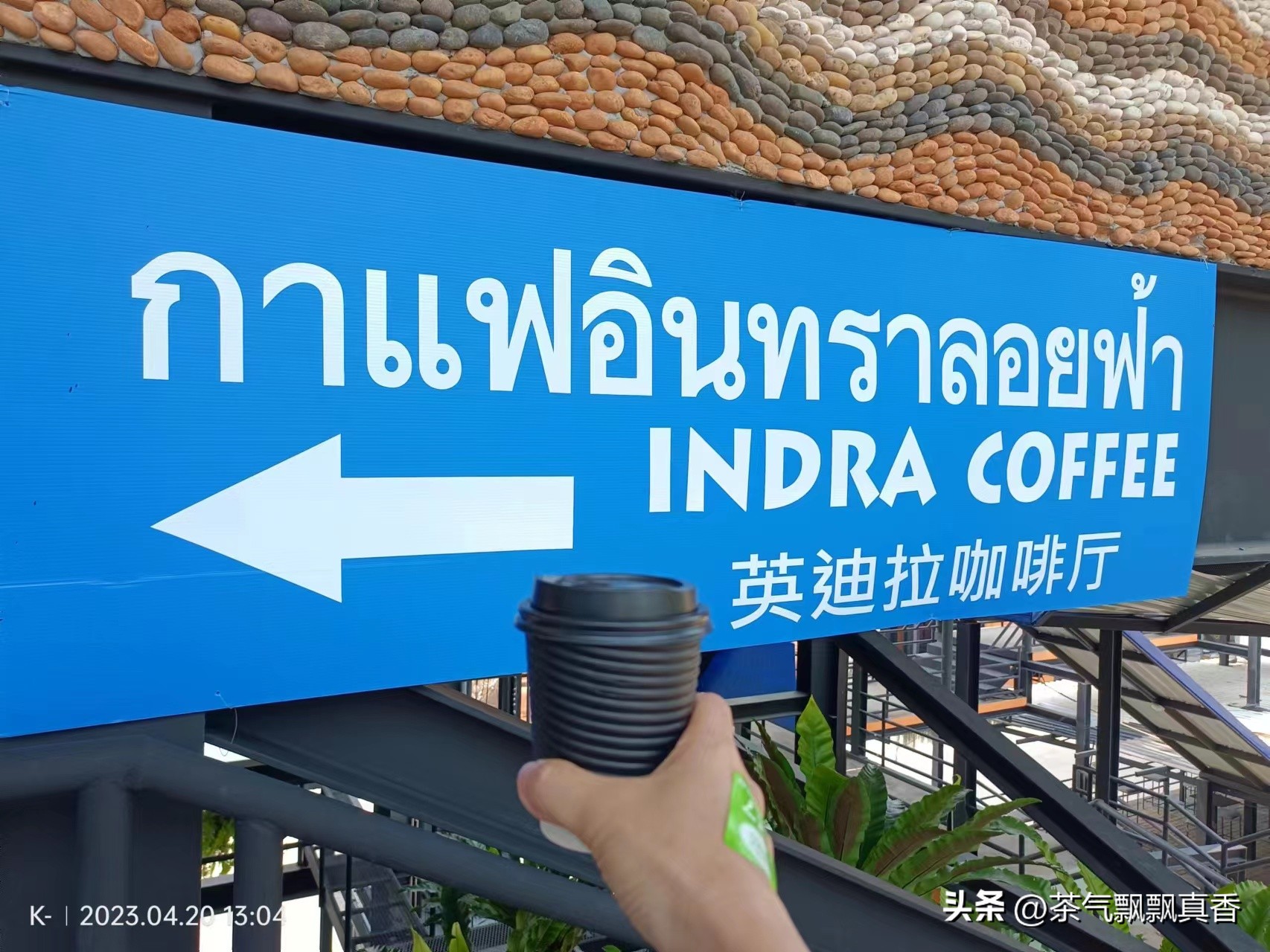 最贵的咖啡vs最便宜的咖啡,咖啡价格战开打1元咖啡便宜了谁