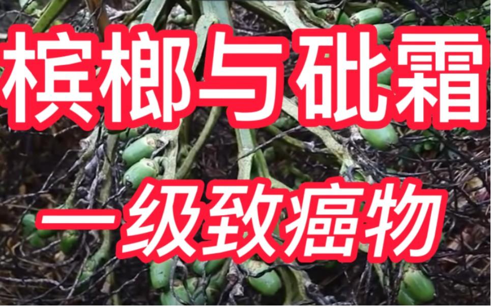 槟榔危害科普,槟榔危害性有多大安全性又有多大