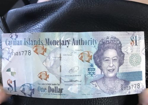 全世界最值钱的货币是不是美元,英镑美元货币