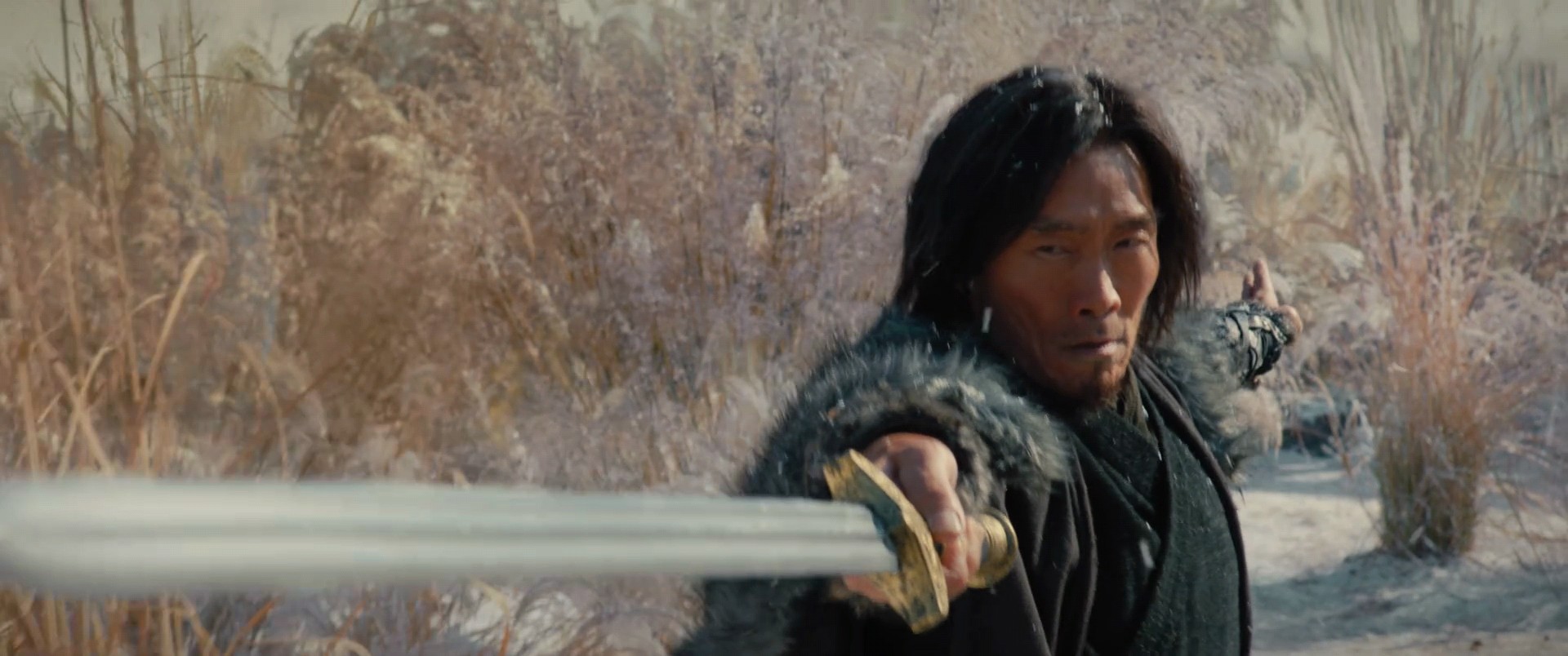 40部绝版武侠电影雪山飞狐,电视剧新雪山飞狐1999