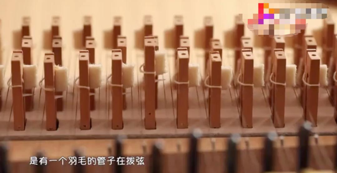 巴赫最难钢琴,巴赫为什么没有享有盛名