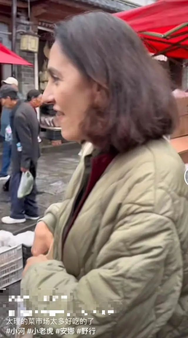 刘烨老婆现状如何,刘烨老婆安娜的经历