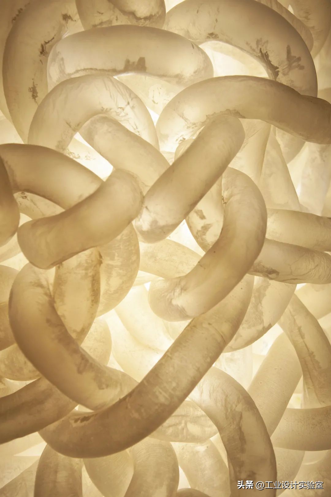 设计灵感来源于动物,什么设计灵感来自动物