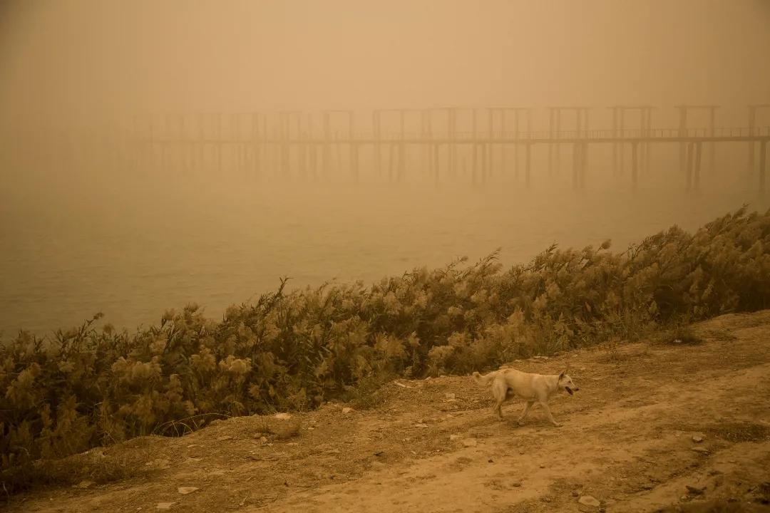40张国际摄影奖顶尖作品震撼人心,世界摄影获奖人物震撼图