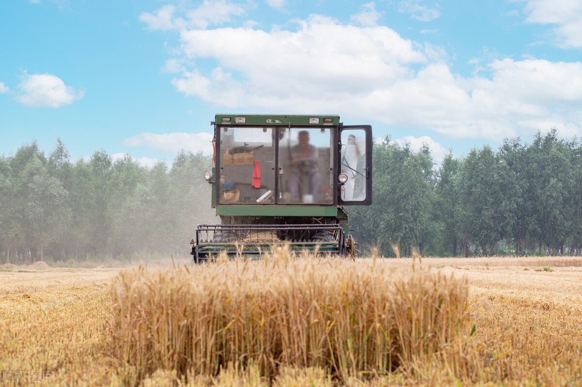 国际油价暴跌国内油价或第3次调,国内油价或将大幅调整原因