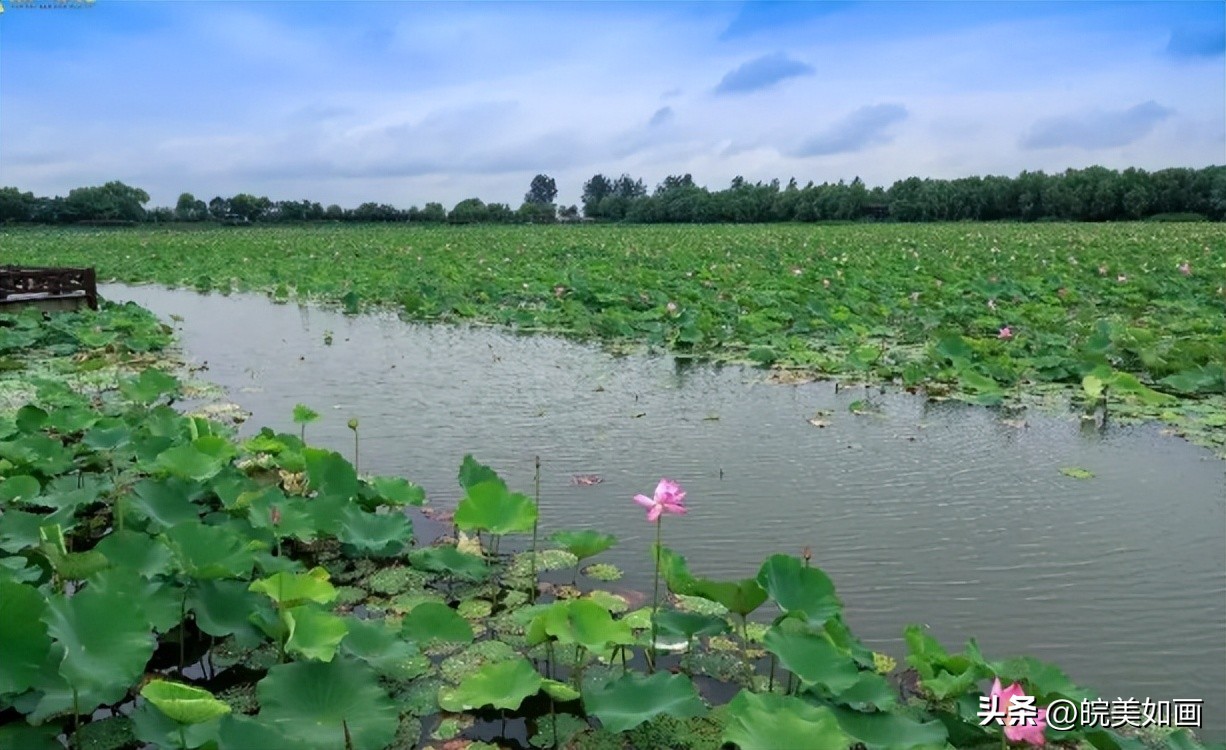 皖南适合避暑的高山村落,小众目的地冷门避暑景点